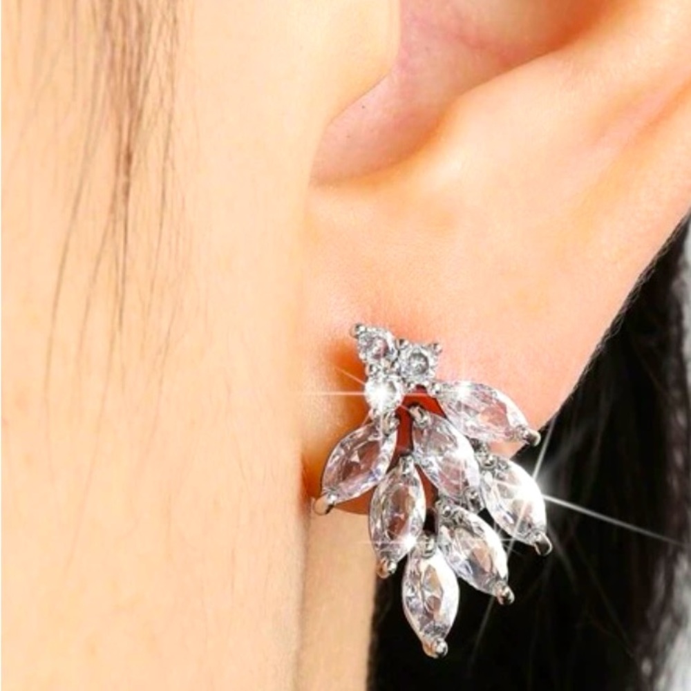 Pretty cz studs earrings